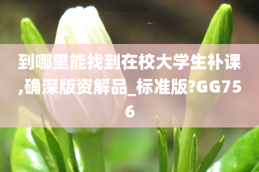 到哪里能找到在校大学生补课,确深版资解品_标准版?GG756