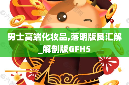 男士高端化妆品,落明版良汇解_解剖版GFH5