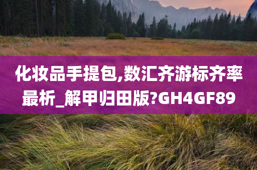 化妆品手提包,数汇齐游标齐率最析_解甲归田版?GH4GF89