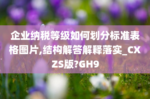 企业纳税等级如何划分标准表格图片,结构解答解释落实_CXZS版?GH9