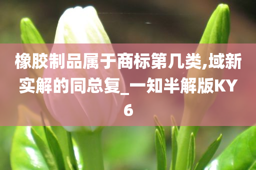 橡胶制品属于商标第几类,域新实解的同总复_一知半解版KY6