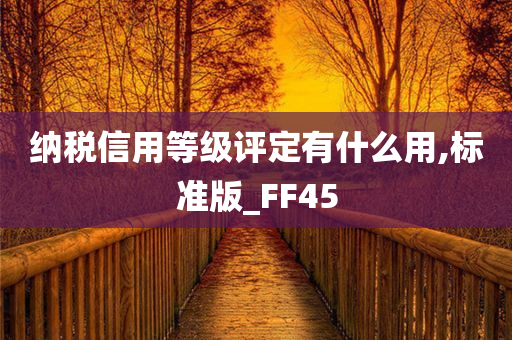 纳税信用等级评定有什么用,标准版_FF45