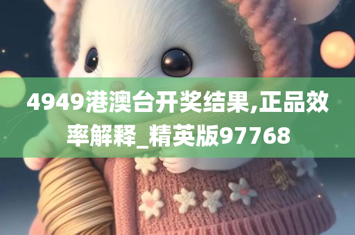 4949港澳台开奖结果,正品效率解释_精英版97768