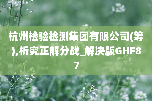 杭州检验检测集团有限公司(筹),析究正解分战_解决版GHF87