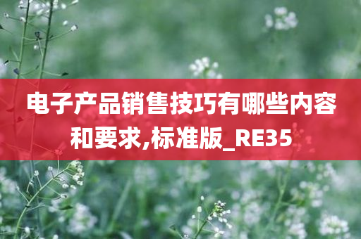 电子产品销售技巧有哪些内容和要求,标准版_RE35