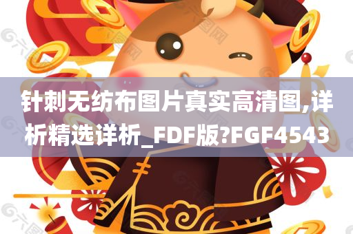 针刺无纺布图片真实高清图,详析精选详析_FDF版?FGF4543