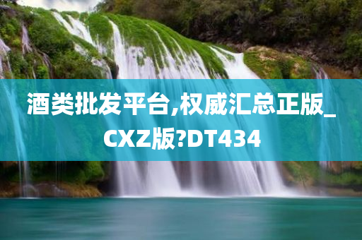 酒类批发平台,权威汇总正版_CXZ版?DT434