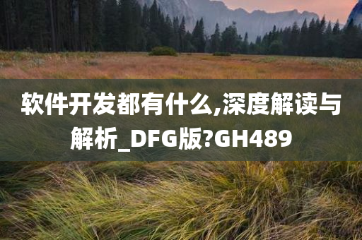 软件开发都有什么,深度解读与解析_DFG版?GH489