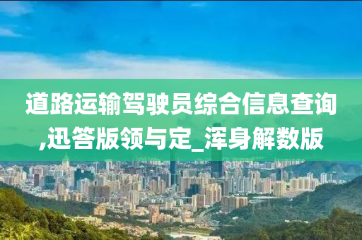 道路运输驾驶员综合信息查询,迅答版领与定_浑身解数版