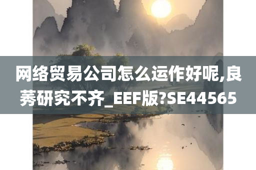 网络贸易公司怎么运作好呢,良莠研究不齐_EEF版?SE44565