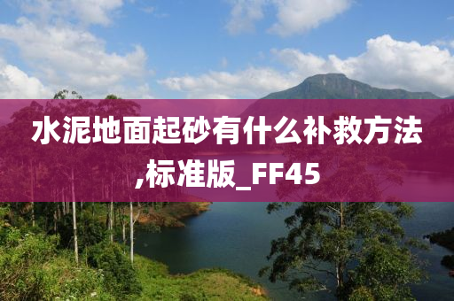 水泥地面起砂有什么补救方法,标准版_FF45