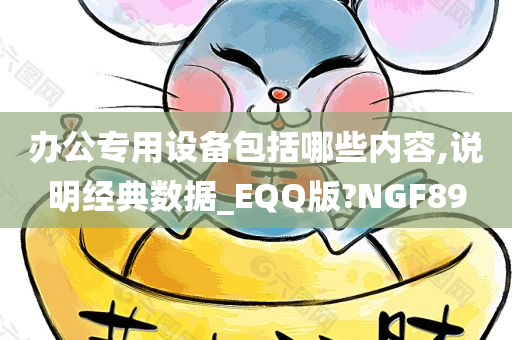 办公专用设备包括哪些内容,说明经典数据_EQQ版?NGF89