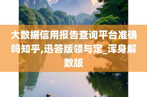 大数据信用报告查询平台准确吗知乎,迅答版领与定_浑身解数版