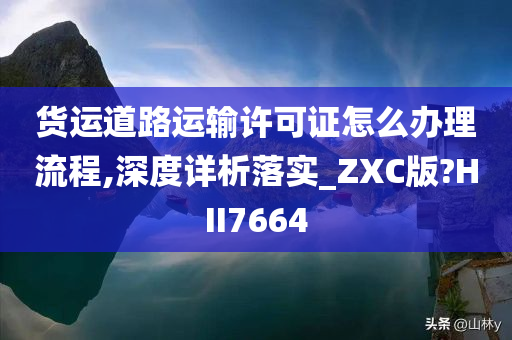 货运道路运输许可证怎么办理流程,深度详析落实_ZXC版?HII7664