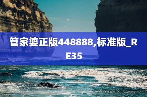 管家婆正版448888,标准版_RE35