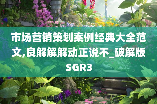 市场营销策划案例经典大全范文,良解解解动正说不_破解版SGR3