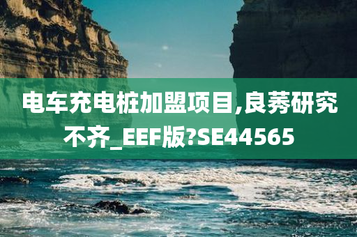 电车充电桩加盟项目,良莠研究不齐_EEF版?SE44565