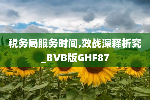 税务局服务时间,效战深释析究_BVB版GHF87