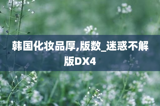 韩国化妆品厚,版数_迷惑不解版DX4