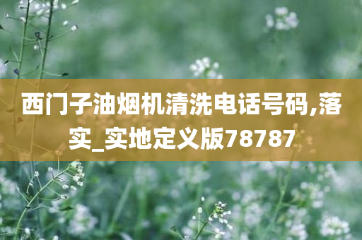 西门子油烟机清洗电话号码,落实_实地定义版78787