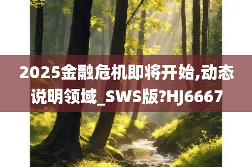 2025金融危机即将开始,动态说明领域_SWS版?HJ6667