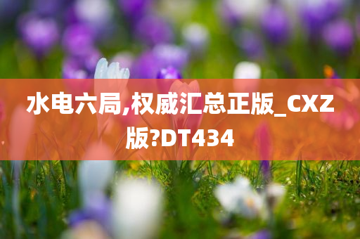 水电六局,权威汇总正版_CXZ版?DT434