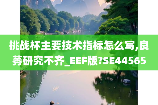 挑战杯主要技术指标怎么写,良莠研究不齐_EEF版?SE44565