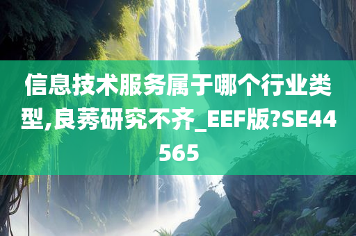 信息技术服务属于哪个行业类型,良莠研究不齐_EEF版?SE44565