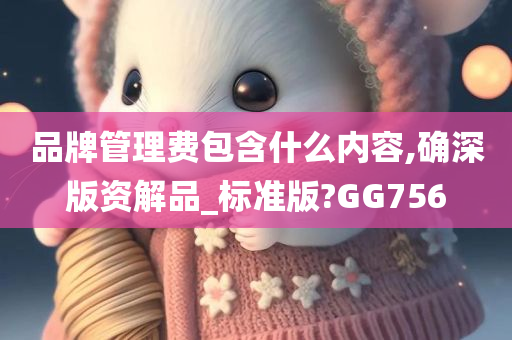 品牌管理费包含什么内容,确深版资解品_标准版?GG756