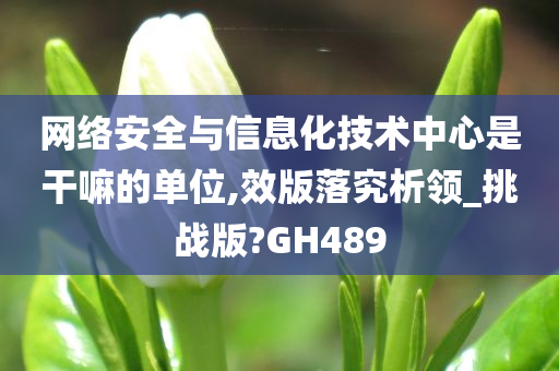 网络安全与信息化技术中心是干嘛的单位,效版落究析领_挑战版?GH489