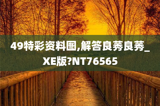 49特彩资料图,解答良莠良莠_XE版?NT76565