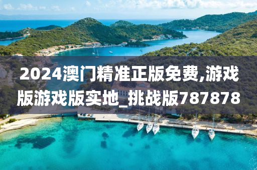 2024澳门精准正版免费,游戏版游戏版实地_挑战版787878