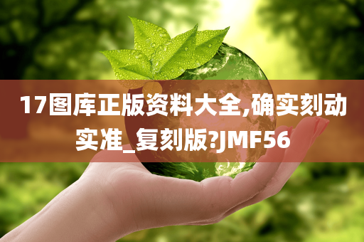 17图库正版资料大全,确实刻动实准_复刻版?JMF56