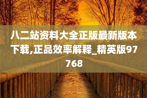 八二站资料大全正版最新版本下载,正品效率解释_精英版97768