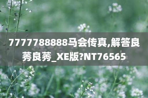 7777788888马会传真,解答良莠良莠_XE版?NT76565