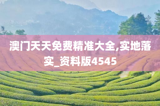 澳门天天免费精准大全,实地落实_资料版4545