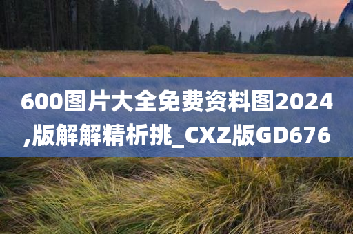 600图片大全免费资料图2024,版解解精析挑_CXZ版GD676