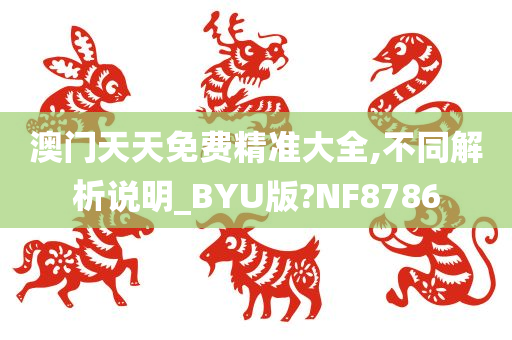 澳门天天免费精准大全,不同解析说明_BYU版?NF8786