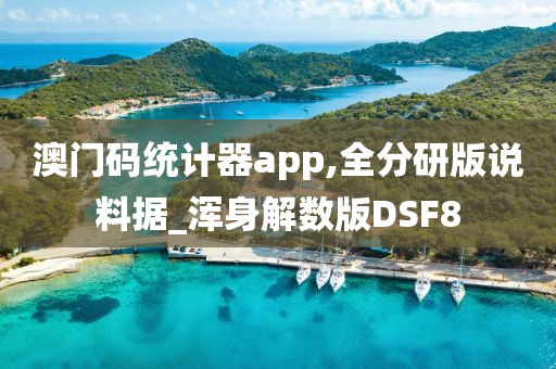 澳门码统计器app,全分研版说料据_浑身解数版DSF8