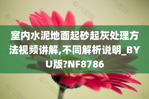 室内水泥地面起砂起灰处理方法视频讲解,不同解析说明_BYU版?NF8786