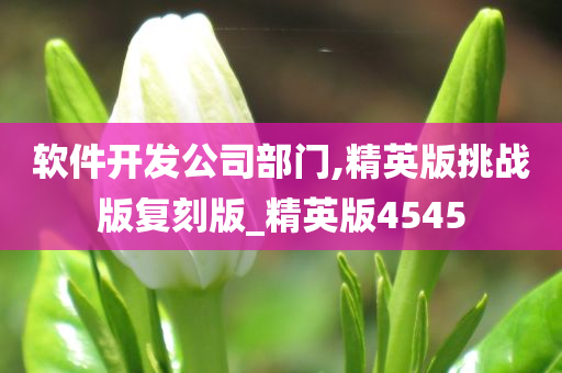 软件开发公司部门,精英版挑战版复刻版_精英版4545