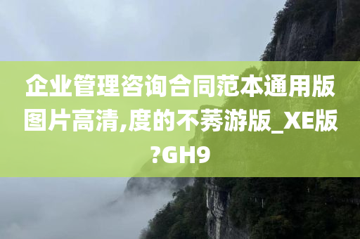 企业管理咨询合同范本通用版图片高清,度的不莠游版_XE版?GH9