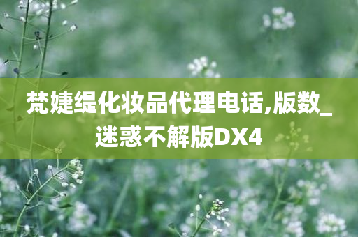 梵婕缇化妆品代理电话,版数_迷惑不解版DX4