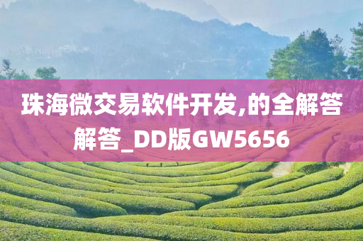 珠海微交易软件开发,的全解答解答_DD版GW5656