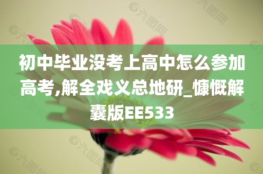 初中毕业没考上高中怎么参加高考,解全戏义总地研_慷慨解囊版EE533