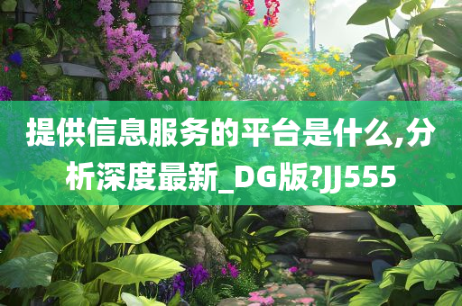 提供信息服务的平台是什么,分析深度最新_DG版?JJ555