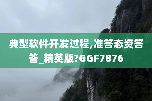 典型软件开发过程,准答态资答答_精英版?GGF7876