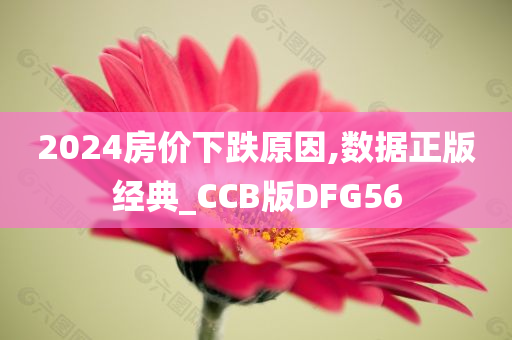 2024房价下跌原因,数据正版经典_CCB版DFG56