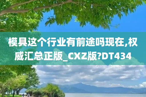 模具这个行业有前途吗现在,权威汇总正版_CXZ版?DT434