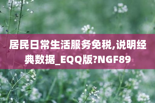 居民日常生活服务免税,说明经典数据_EQQ版?NGF89